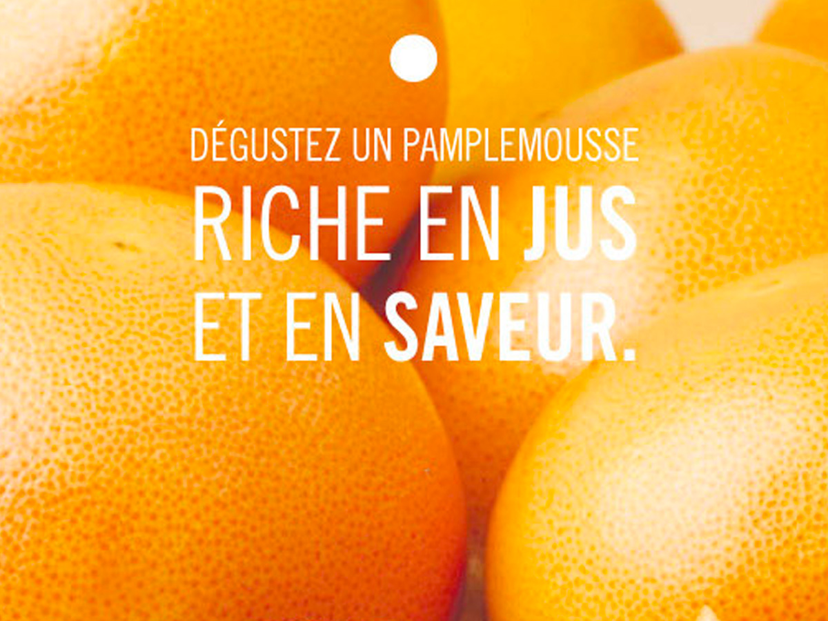 Pamplemousse de Floride